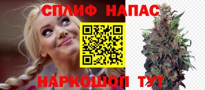 Альфа ПВП Новокубанск