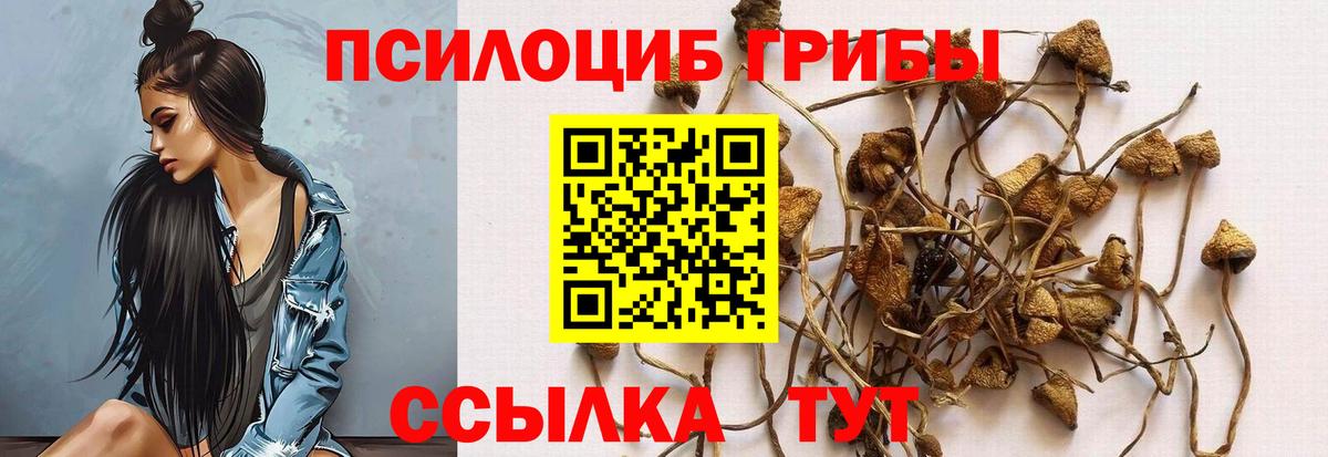 Галлюциногенные грибы ЛСД Реутов